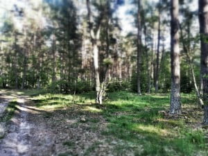 trasa 23 maja 2014 Olsztynek