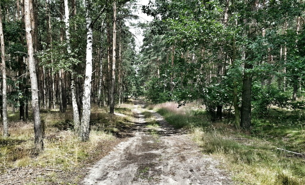 20140705_142658_1