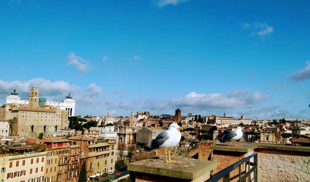 Tarcza finansowa MŚP PFR – podsumowanie