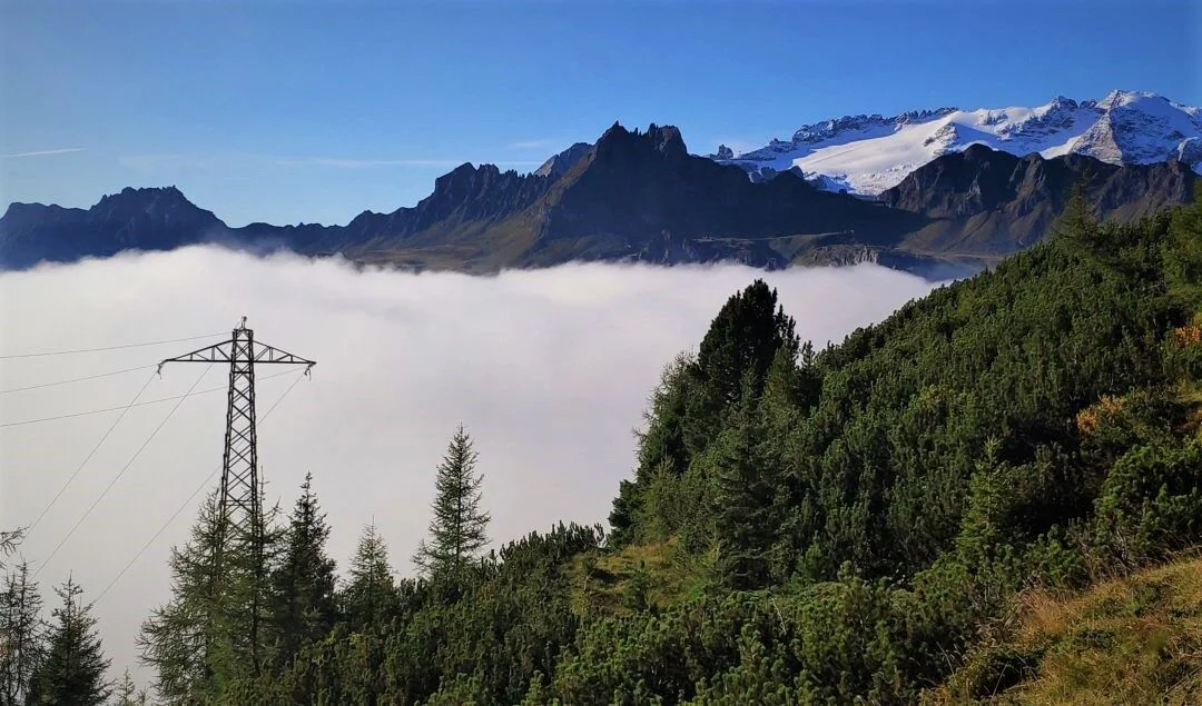 Umowy o dzieło pod obserwacją