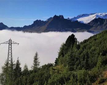 Umowy o dzieło pod obserwacją