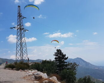 Wynagrodzenie członków komisji kwalifikacyjnej powołanych przez Prezesa URE nie podlega składkom ZUS